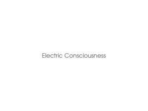 Electric Consciousness